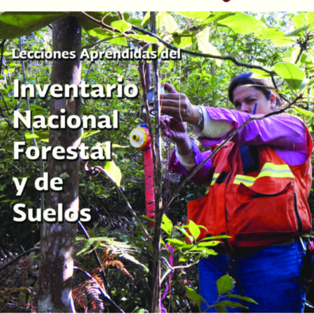 LeccionesAprendidasDelInventarioForestalYSuelos-2015-mx-es-01.pdf