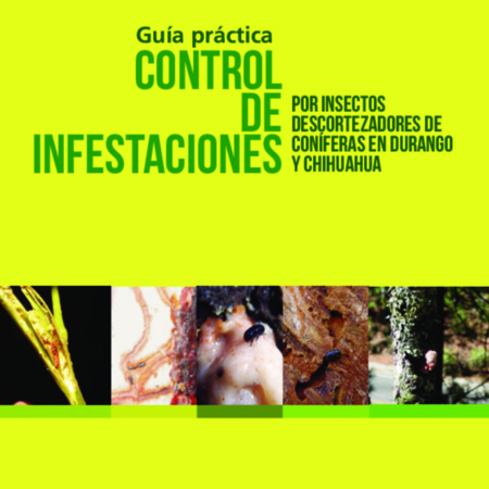 Guia Control de Insfestaciones por Insercos descortezadores de coníferas en Durango y Chihuahua.pdf