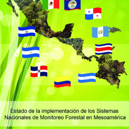 EstadosDeLaImplementacionDeLosSistemasNacionalesdelMonitoreoForestalEnMesoamerica-2015-mx-es-01.pdf