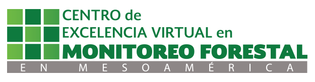 Centro de Excelencia Virtual en Monitoreo Forestal